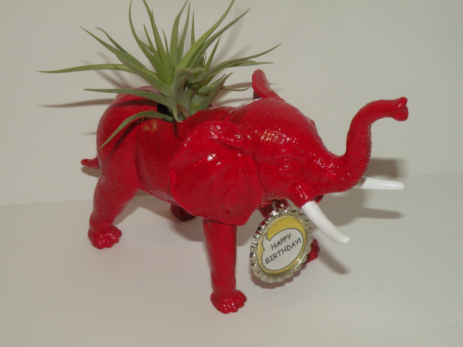 Live air plant nestled in red elephant planter.