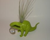 Fun birthday gift. Lime dinosaur planter with air plant.