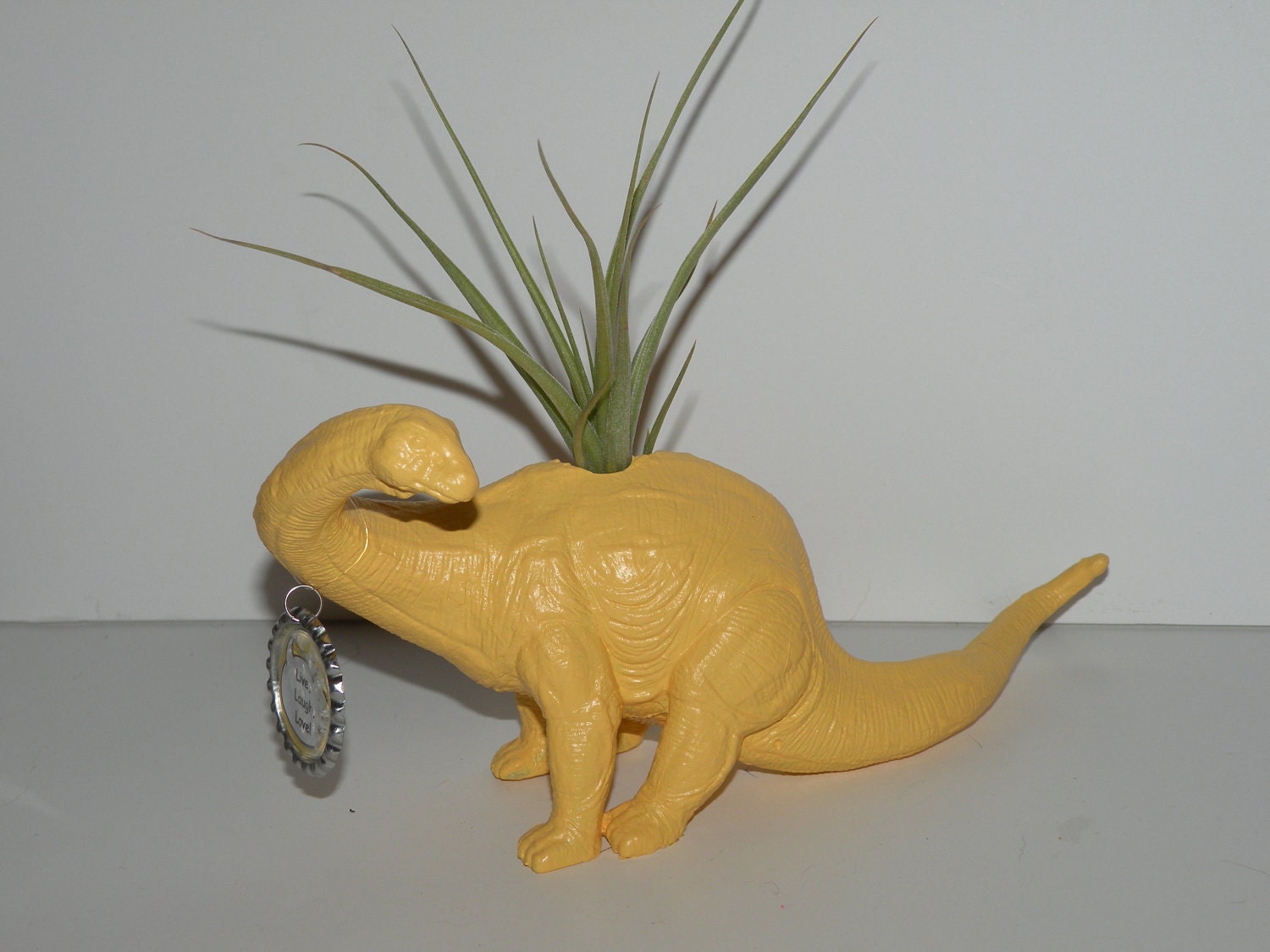 Air plant in buttercup yellow dinosaur planter.
