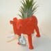 Air plant in elephant animal planter and personalized bottle cap message. Great gift for plant lover.