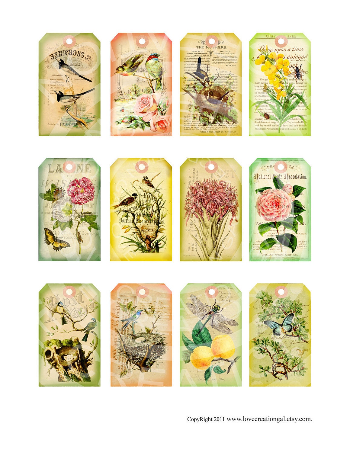 Vintage Botanical Dragonfly Birds Nest Ledge Rose Butterflies Gift Price Tags Paris French ACEO Cards Digital Collage Sheet Images Sh135
