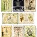 8 Vintage Birds Paris Eiffel Tower Flower Rose Butterfly Botanical ledge French ACEO Card Gift Tags Label Digital Collage Sheet Images Sh139