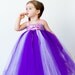 Rapunzel Inspired Tutu Dress