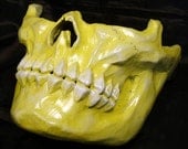 Skull Menpo Half Face Skeleton Mask