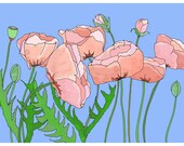 Pink Poppies A4 Art Print