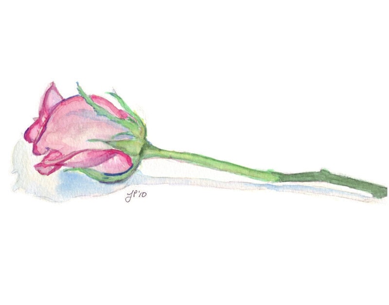 Watercolor Painting- Flower Art Illustration- Single Pink Rose Watercolor Art Print - 8x10