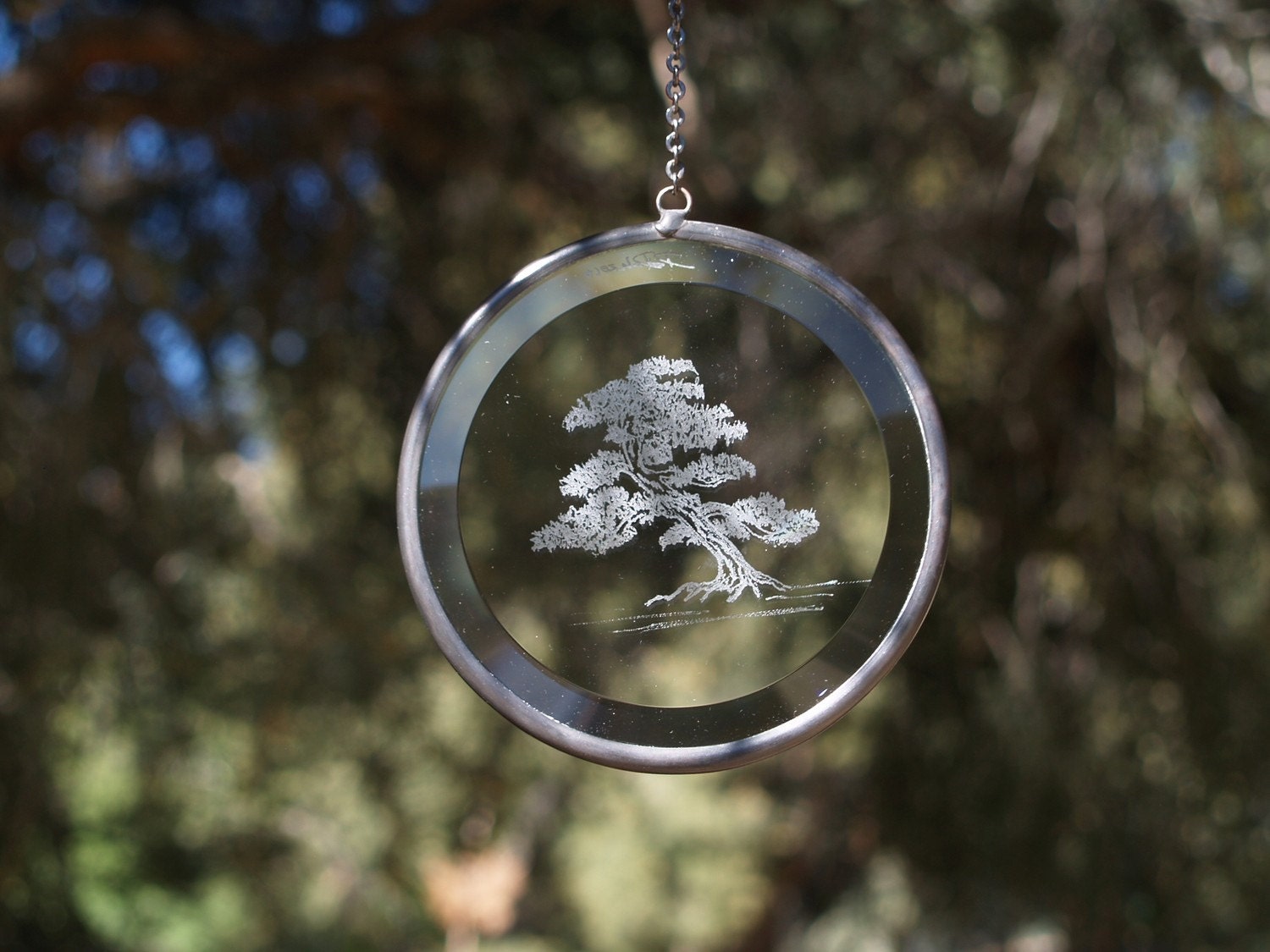 hand engraved glass bonsai tree etching