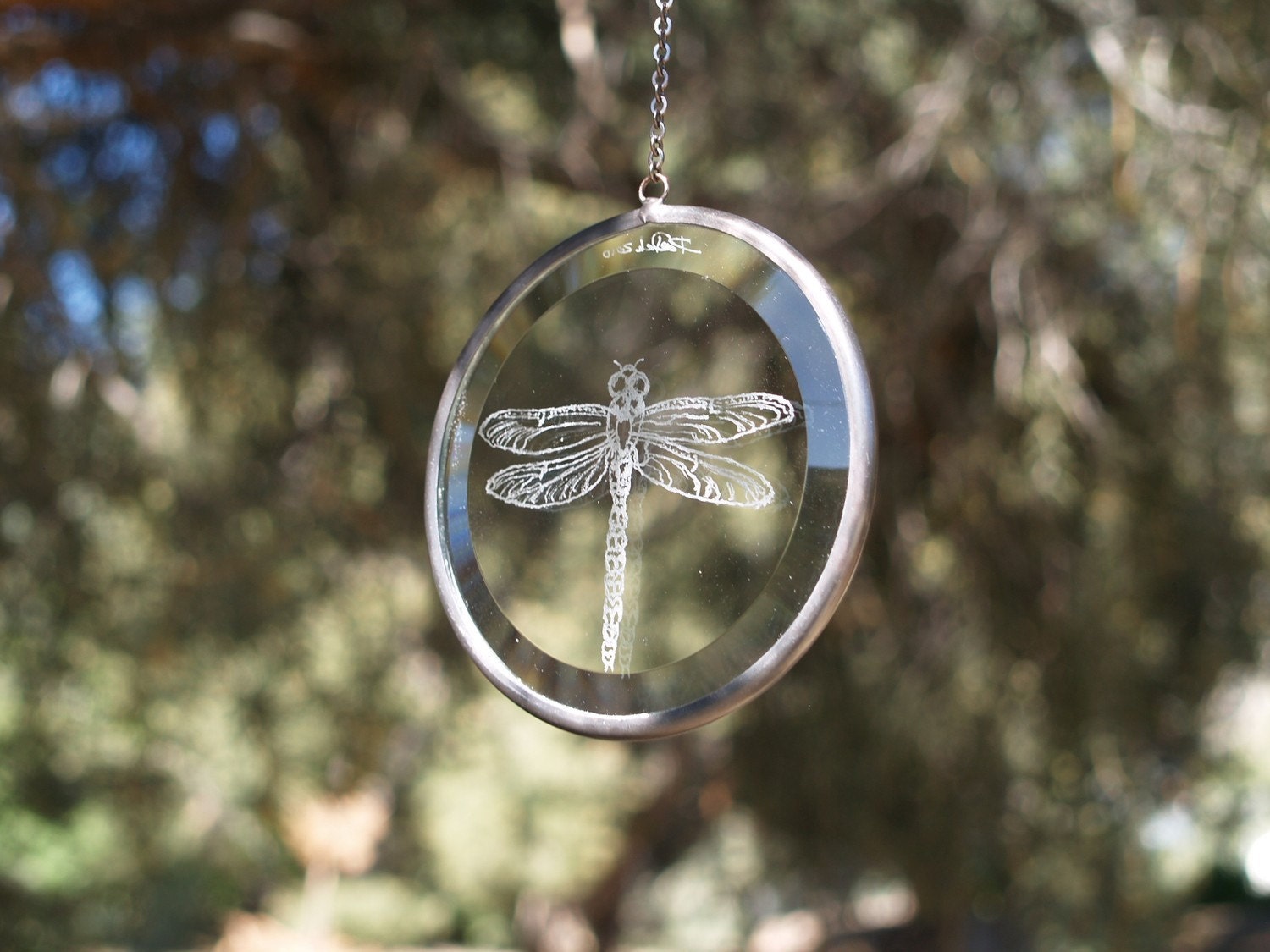 hand engraved glass dragonfly etching
