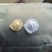 Whale Blubber Plush, Cross Section