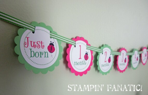 Pink and Lime Little Ladybug Collection Just Born/0-12 mos Banner with clips to hang pictures. First Birthday Photo Banner. Ladybug Banner. Il_570xn