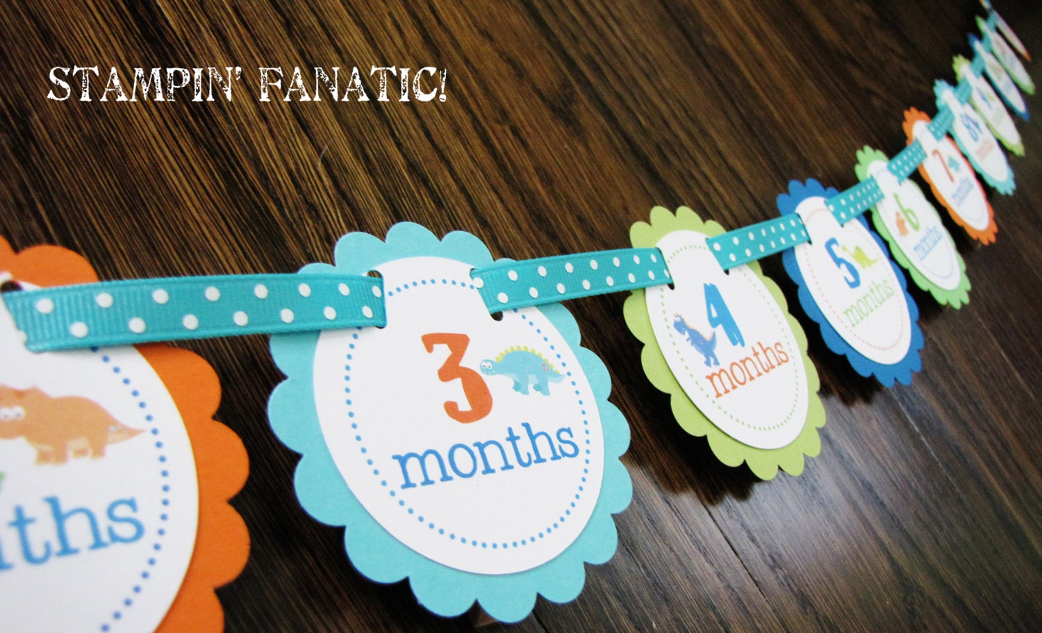 Dashing Dino Collection: Just Born/0-12 Mos Dinosaur First Birthday Photo Picture Banner w/clips Il_570xn