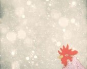 cock in the snowfall