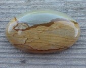 Owyhee Picture Jasper