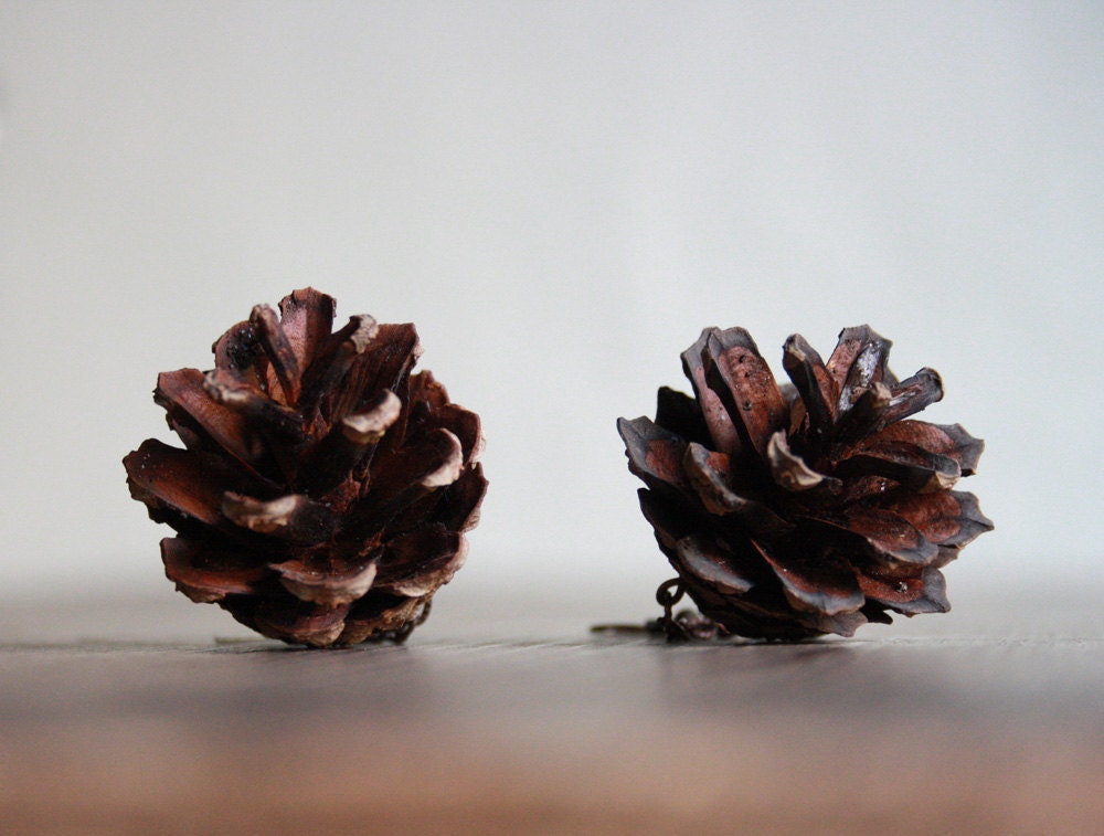 Pinecone earrings