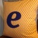 e monogrammed pillow case 20x20, any letter/colour available