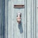 Reserved listing for Rebecca - Engagement ring, Old Green Door, South of France- 5 x 7 - Fine Art Photography print