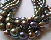 Peacock Rice Freshwater Pearls (full strand)  - 7mm -  Luscious Colors - Fine Quality