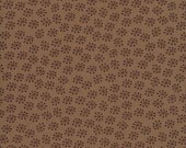 Bright Owl By Alice Kennedy for Timeless Treasures, Brown Starburst Print, 1 Yard