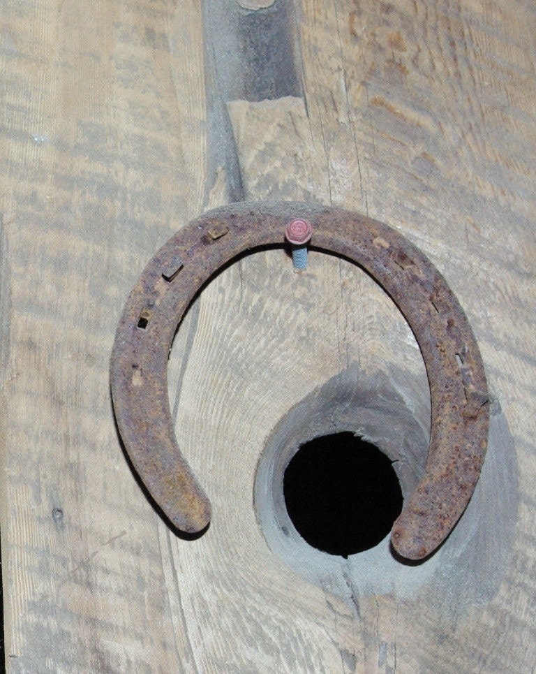 Lucky Charms Old Horse Shoe