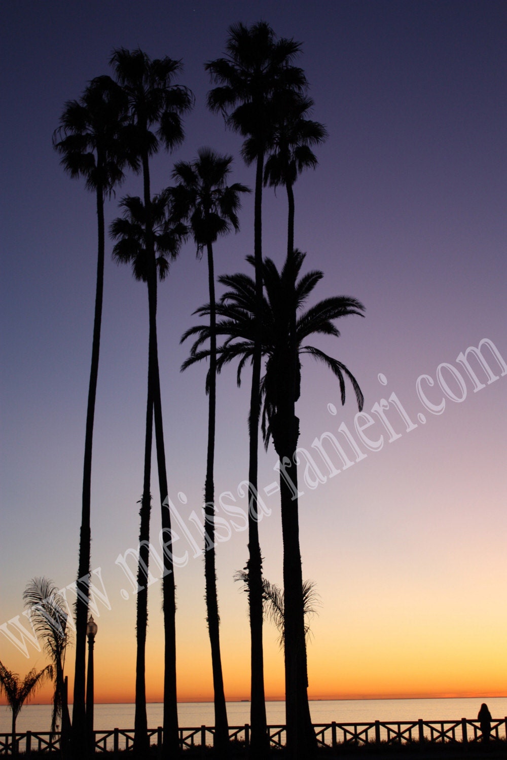 California Sunset 11x14" Photograph