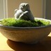 Mini Lucky PUG Buddha Sculpture in Mini Moss Terrarium