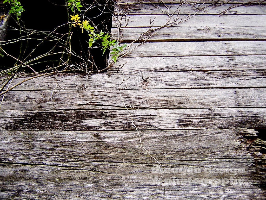Americana Flag 8x10 fine art photograph (two additional sizes available)