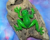Frith frog on driftwood art sculpture OOAK SCULPT by Artist Ann Galvin Coupon Code GOBLINRY