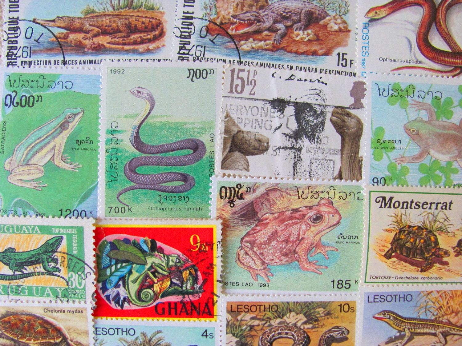 Witchsbrew 50 Vintage Modern Premium Mix Reptiles Amphibians Postage Stamps Herpetology Frog Snake Natural History Biology Science