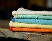 Napkins Raw Silk Fabric, set of 4
