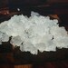 Live Organic Water Kefir Grains - Japanese Water Crystals