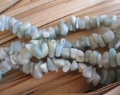 Amazonite semiprecious stone beads Chips Nugget 16 inch Strand
