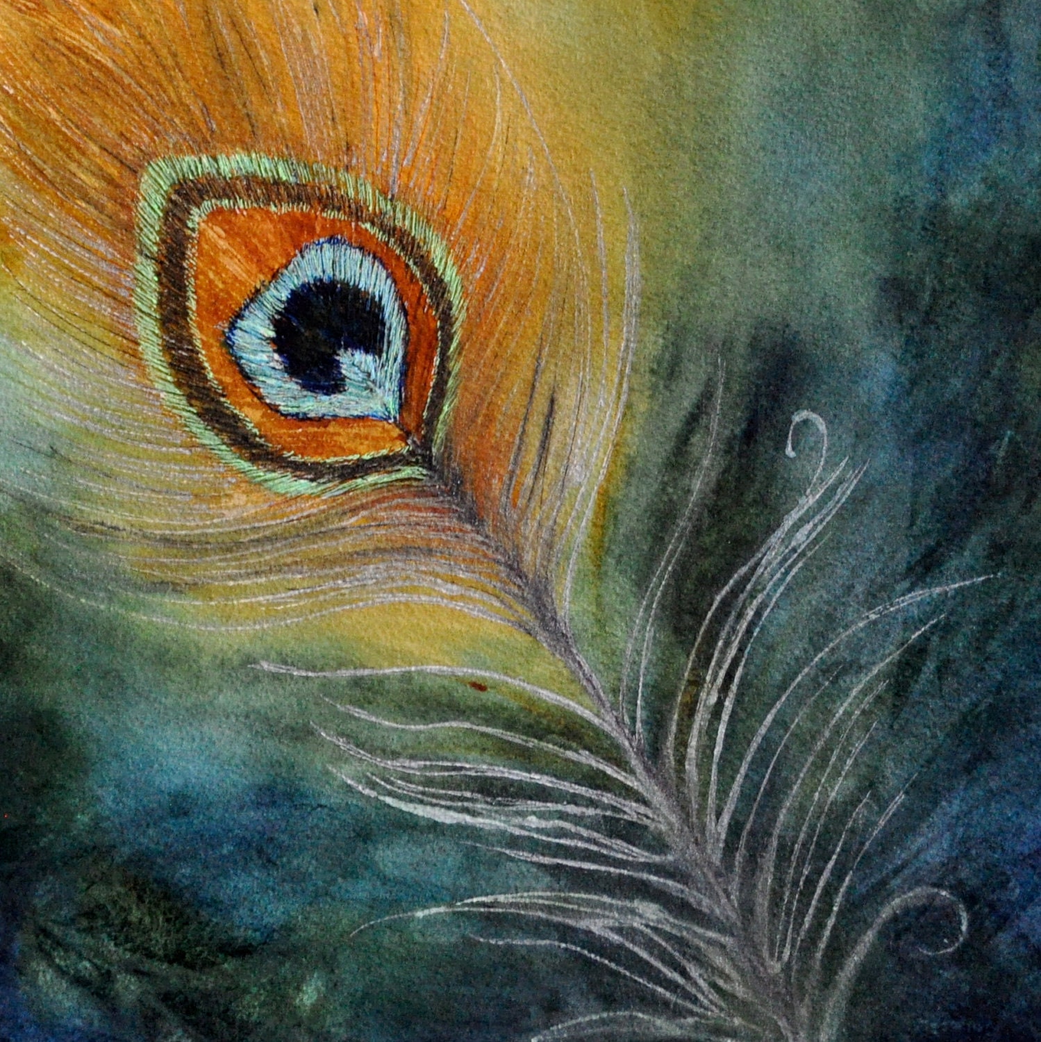 Peacock feather - original watercolor painting 8 x 8