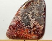 Crazy Lace Designer Cabochon (AGT0314)