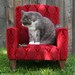 Child's Upholstered Rocking Chair