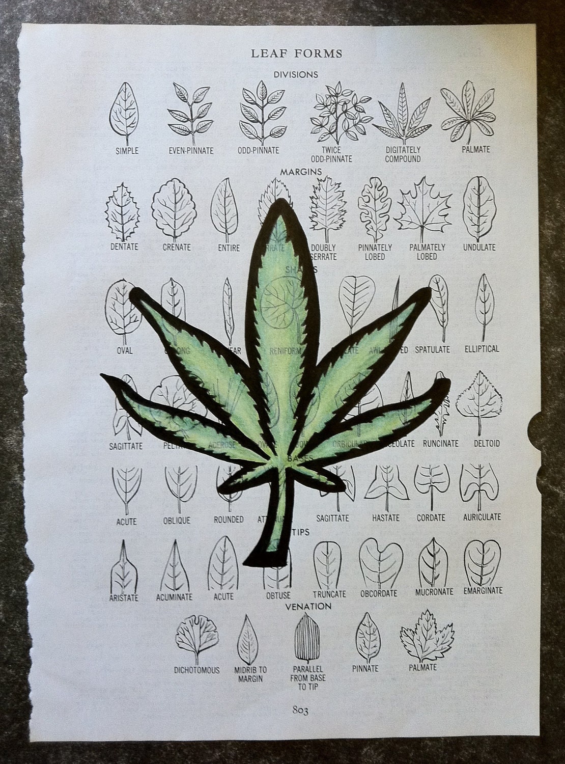 Leaf on Leaf Page