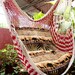 Red and White Bulico Sitting Hammock, Hanging Chair Natural Cotton and Wood