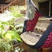 Red and Black Sitting Hammock, Hanging Chair Natural Cotton and Wood
