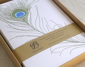 Letterpress Note Card Set - Peacock Feather