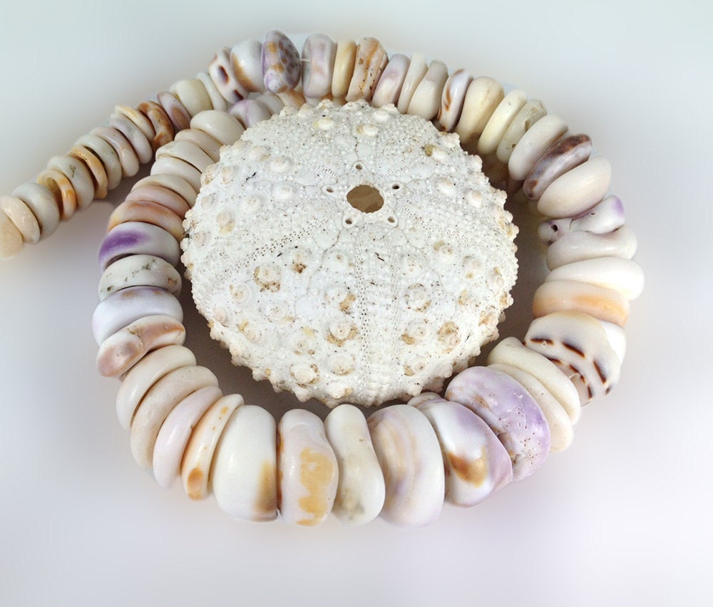 Hawaiian Puka Shell necklace genuine large puka shells Maui
