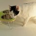 Raised Pet Feeder with double stainless steel bowls and aluminum v-legs SMALL 4-6 inches