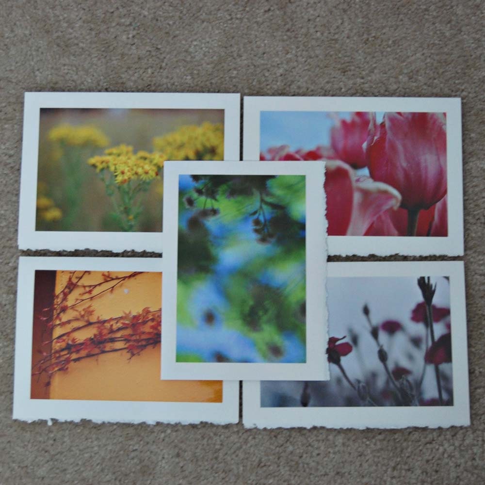 in the most delightful way / art cards - set of 5