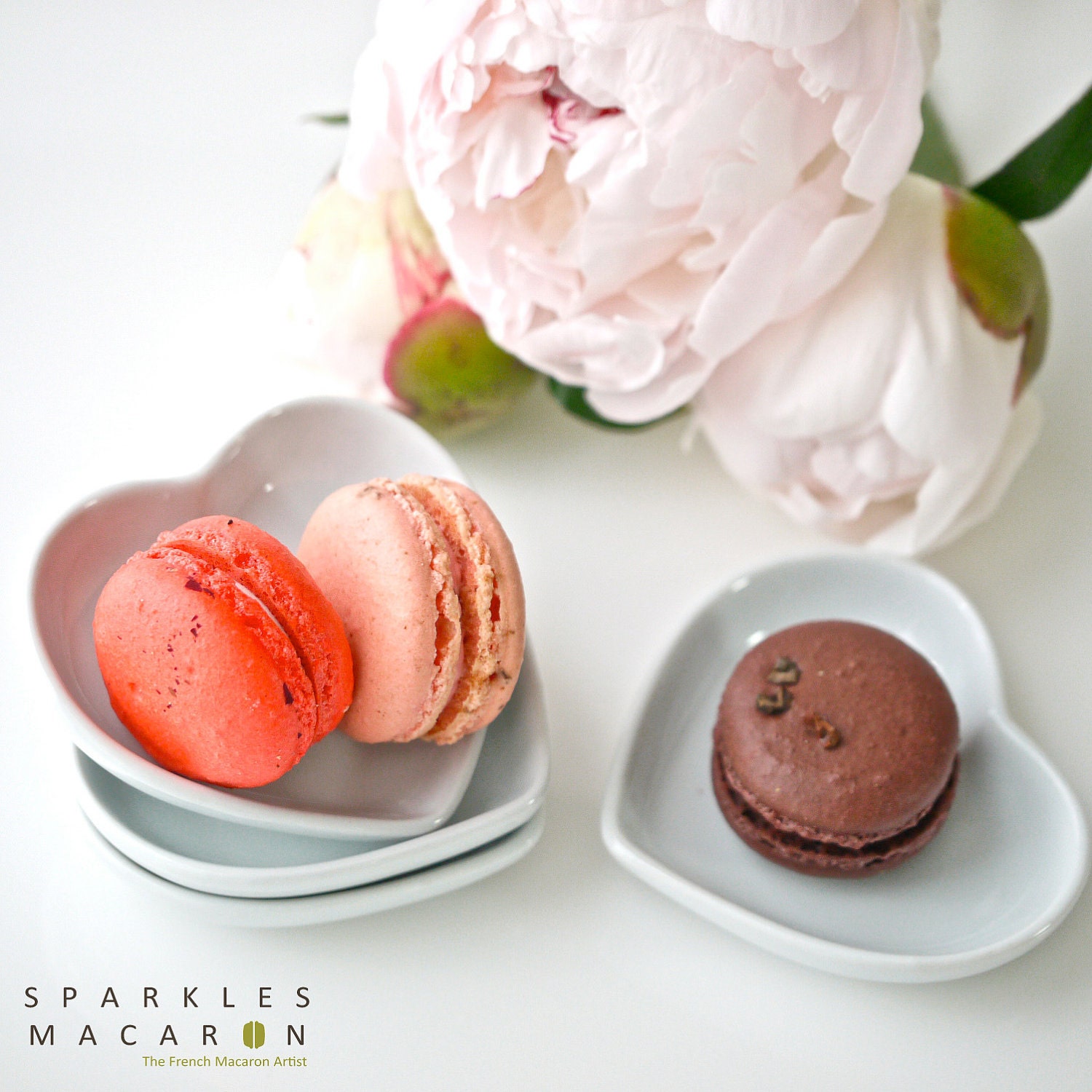 12 Assorted Regular French Macarons