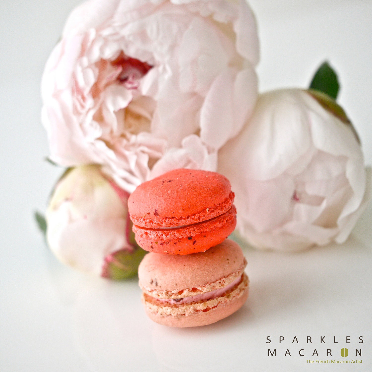 12 Assorted Regular French Macarons