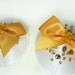 CHLOE bridal Pasties - silk satin and beaded Primrose yellow crystals
