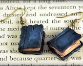 Beloved Book Earrings, Jewelry, Handmade