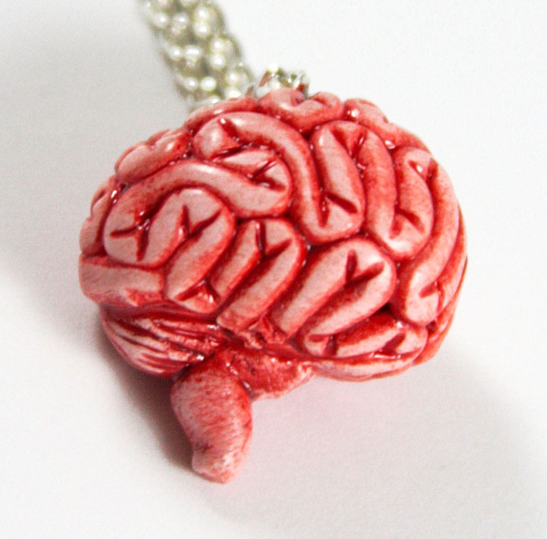 Anatomical Brain