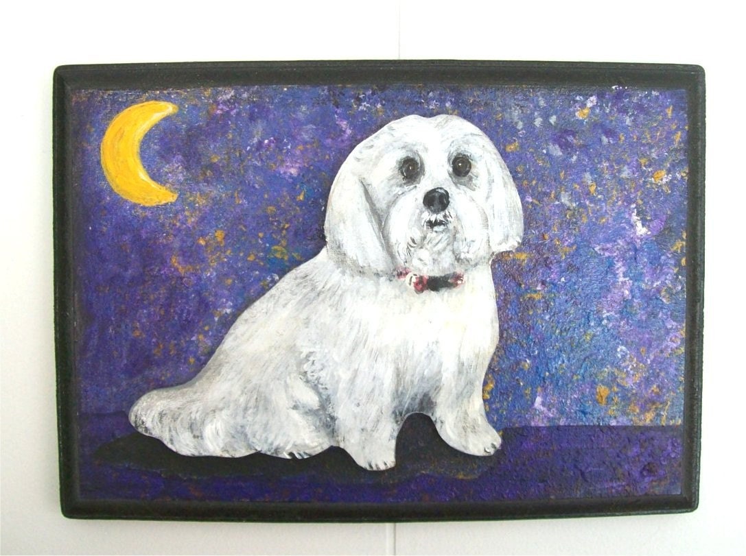 Dog under the stars 3D