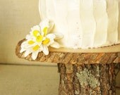 Small 6" Wooden Cake Stand featured in FOOD NETWORK Magazine