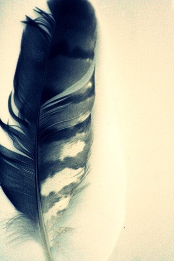 To Write The Story - 8x10 Fine Art Photography - Dreamy Feather Portrait - Featured on HGTV.com, Style at Home Magazine