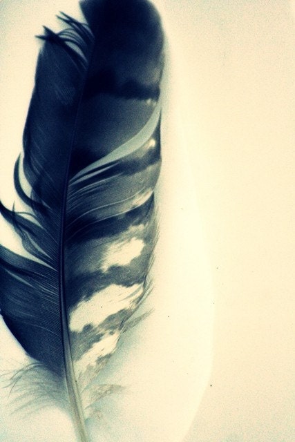 To Write The Story - 8x10 Fine Art Photography - Dreamy Feather Portrait - Featured on HGTV.com, Style at Home Magazine